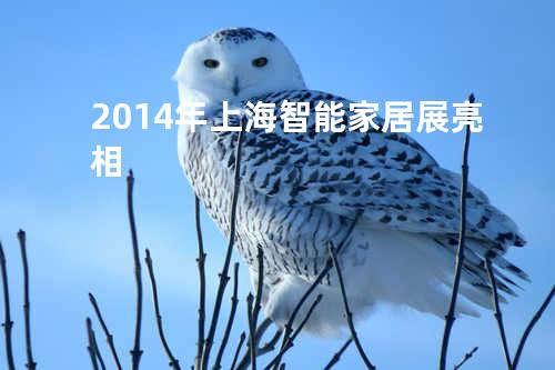 2014年上海智能家居展亮相