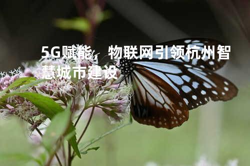5G赋能，物联网引领杭州智慧城市建设